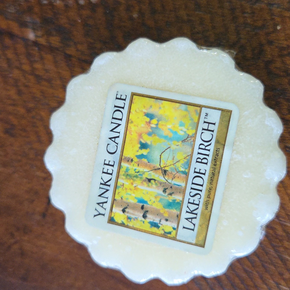 1 Yankee Candle Tarts LAKESIDE BIRCH NEW 0.8 oz each